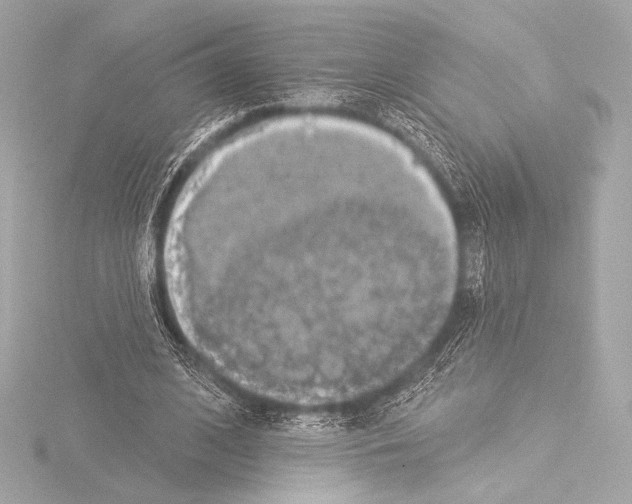 X0000115530584200912181529