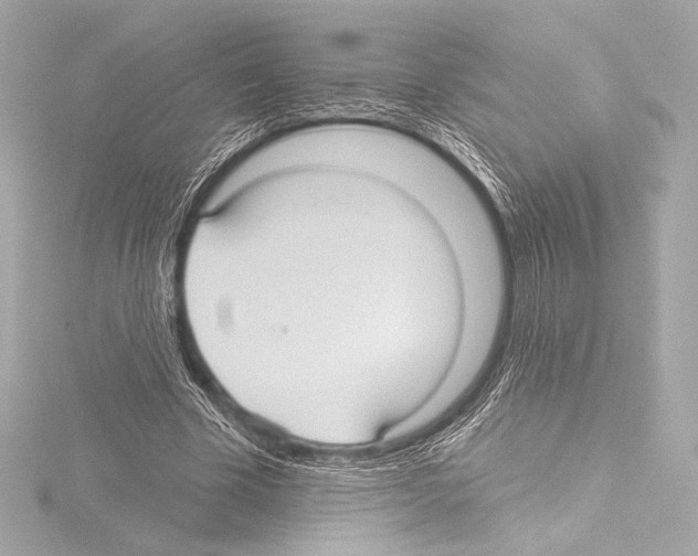 X0000115530585200912181529