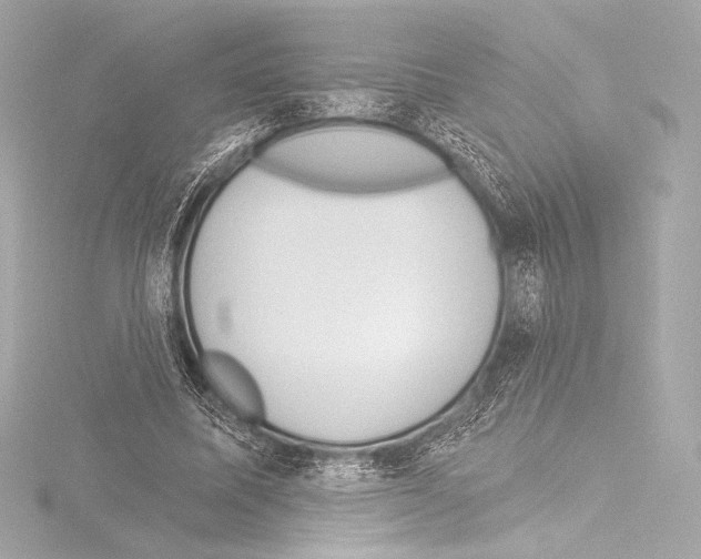 X0000115530587200912181529