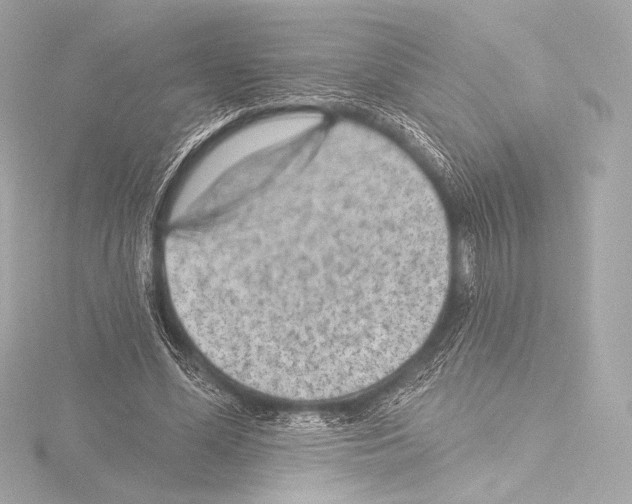 X0000115530588200912181529