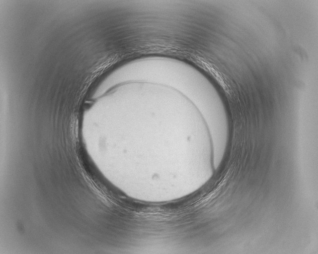 X0000115530589200912181529