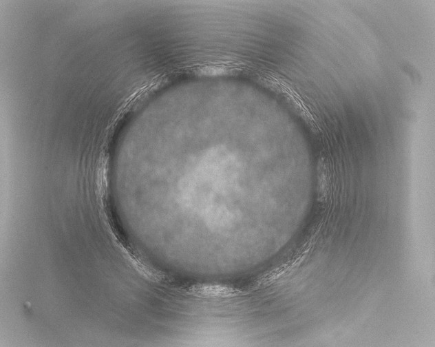 X0000115530590200912181529