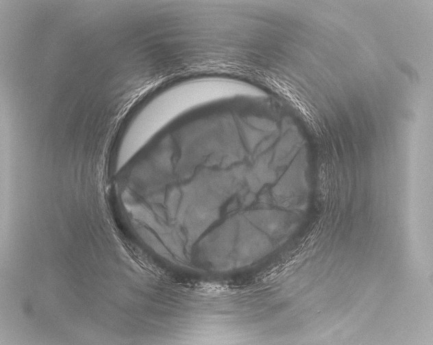 X0000115530592200912181529