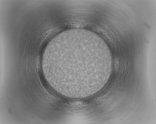 X0000115530594200912181528