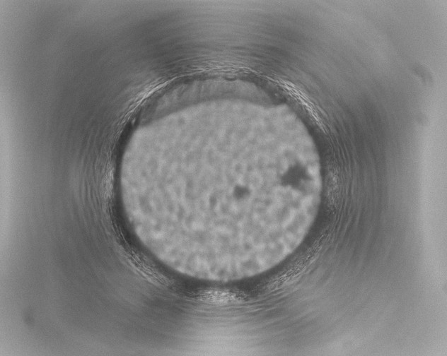 X0000115530596200912181528