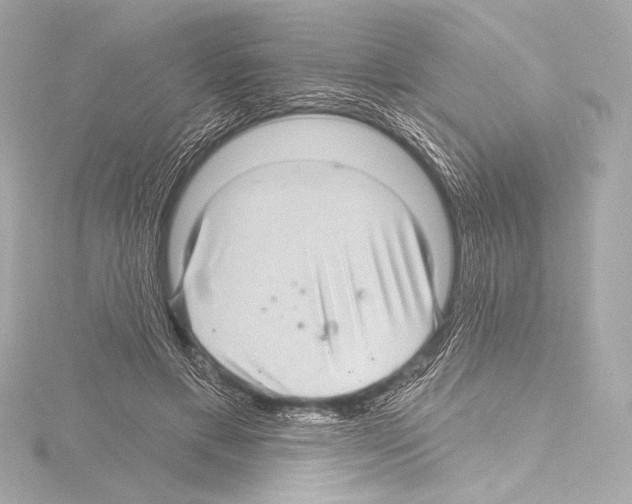 X0000115530597200912181528