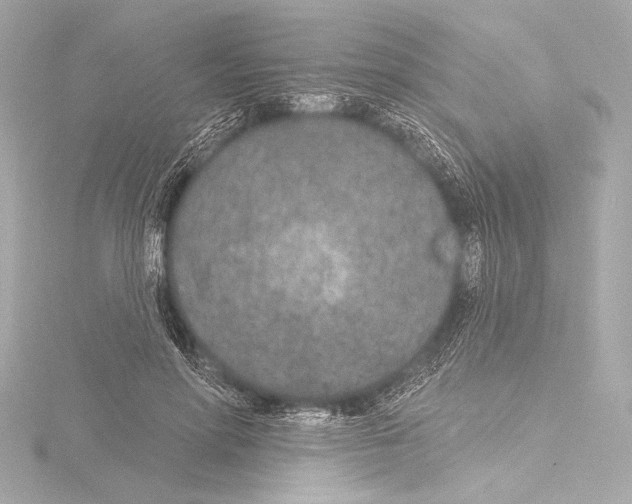 X0000115530598200912181528