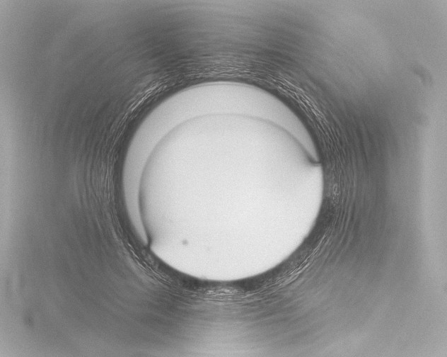 X0000115530599200912181528