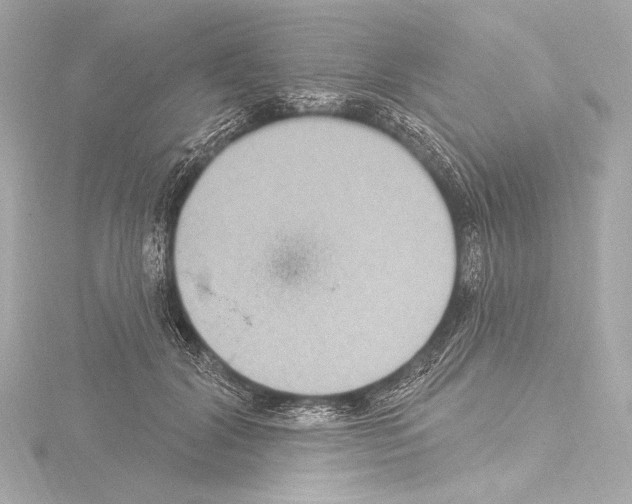 X0000115530604200912181528