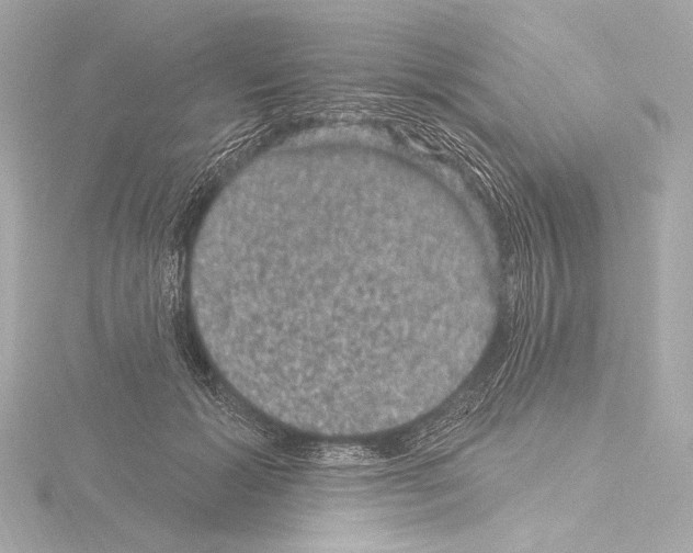 X0000115530605200912181528