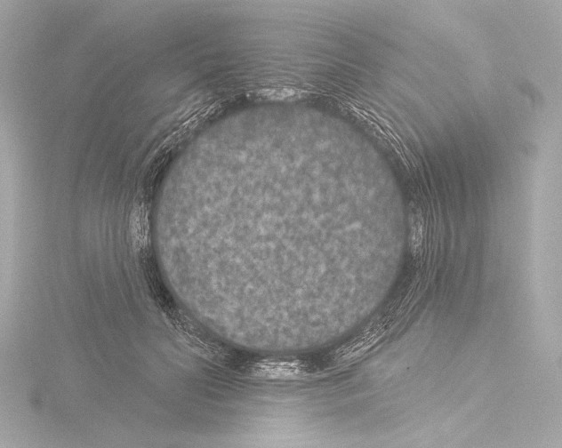 X0000115530606200912181528