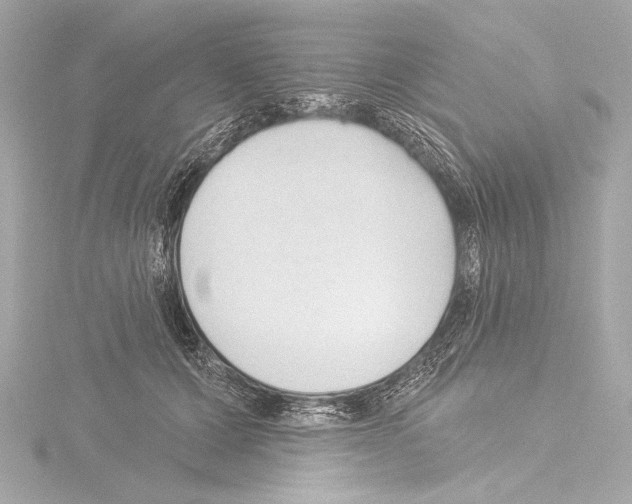 X0000115530607200912181528