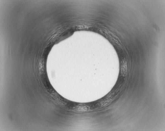 X0000115530608200912181528