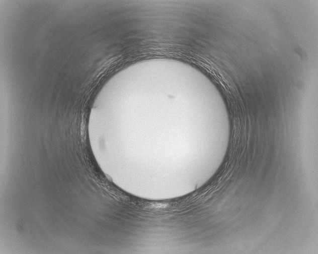 X0000115530609200912181528