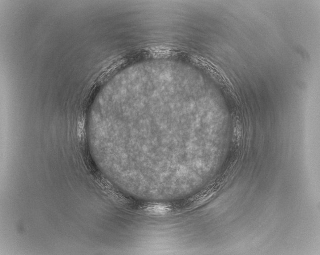 X0000115530610200912181528