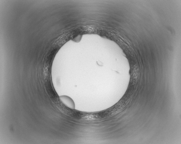 X0000115530611200912181528