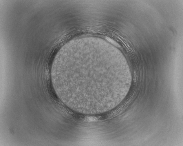 X0000115530613200912181528