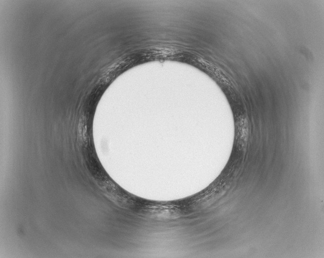 X0000115530615200912181528