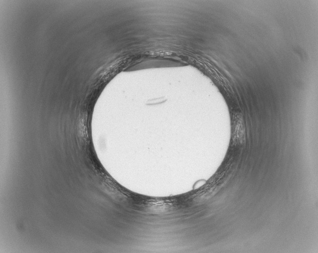 X0000115530616200912181528