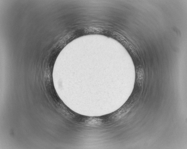 X0000115530617200912181528