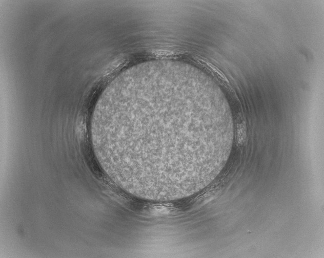 X0000115530618200912181528