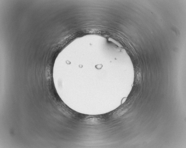 X0000115530620200912181528