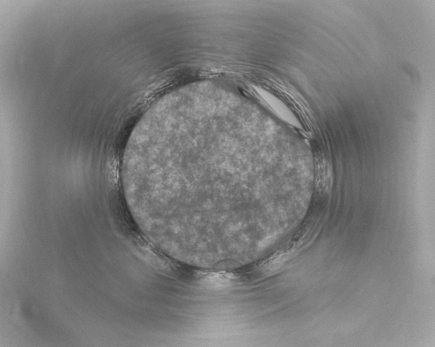 X0000115530621200912181528