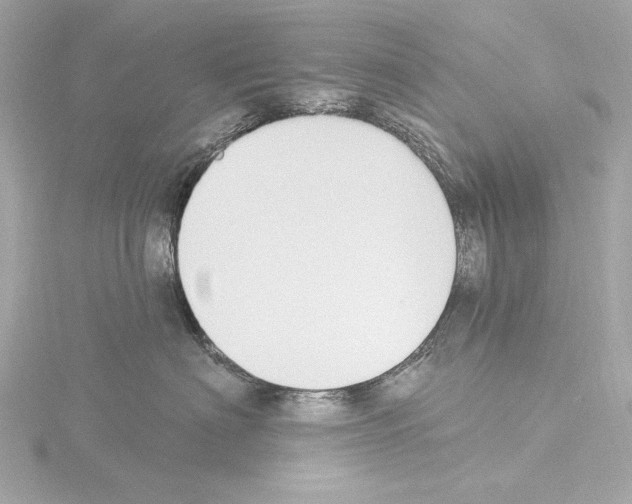 X0000115530622200912181528