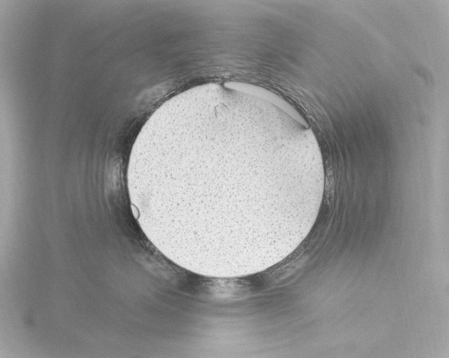 X0000115530623200912181528