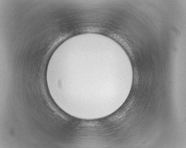 X0000115530625200912181527