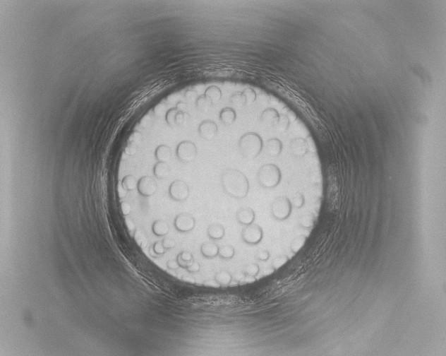 X0000115530626200912181527