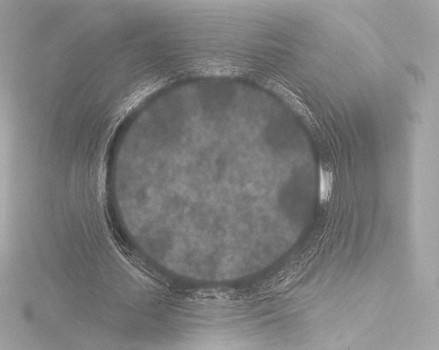 X0000115530627200912181527