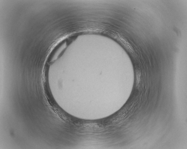 X0000115530628200912181527