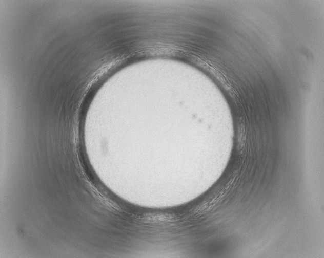 X0000115530629200912181527