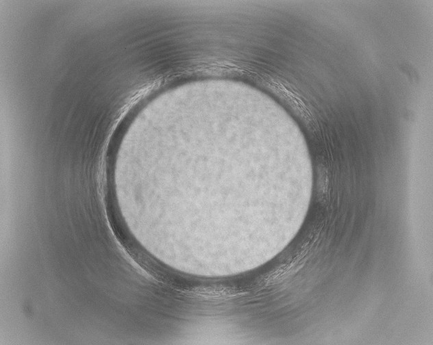 X0000115530630200912181527