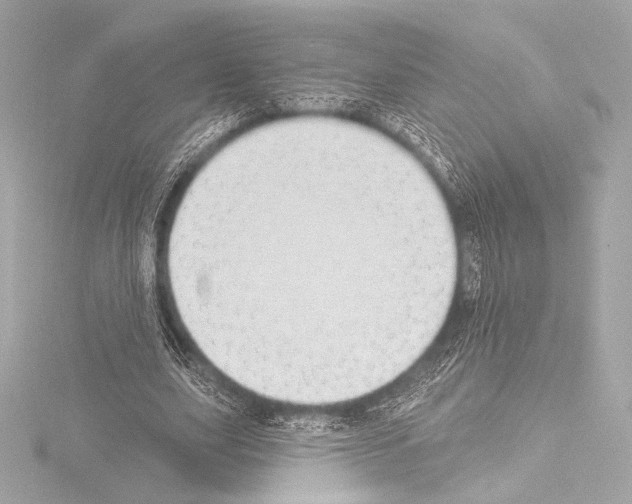 X0000115530631200912181527