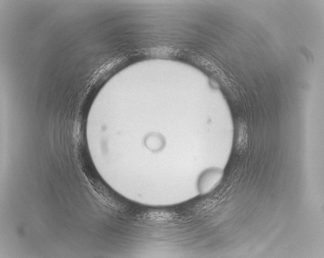 X0000115530636200912181527