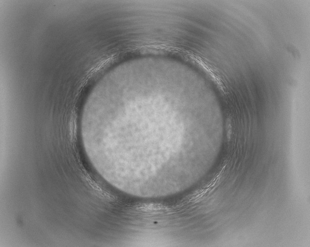 X0000115530637200912181527