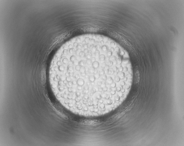 X0000115530638200912181527