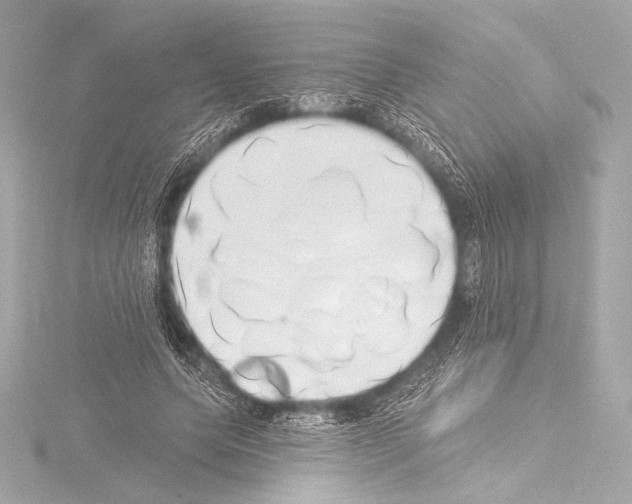 X0000115530639200912181527