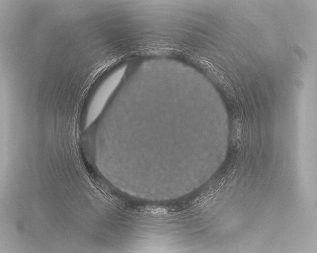 X0000115530640200912181527