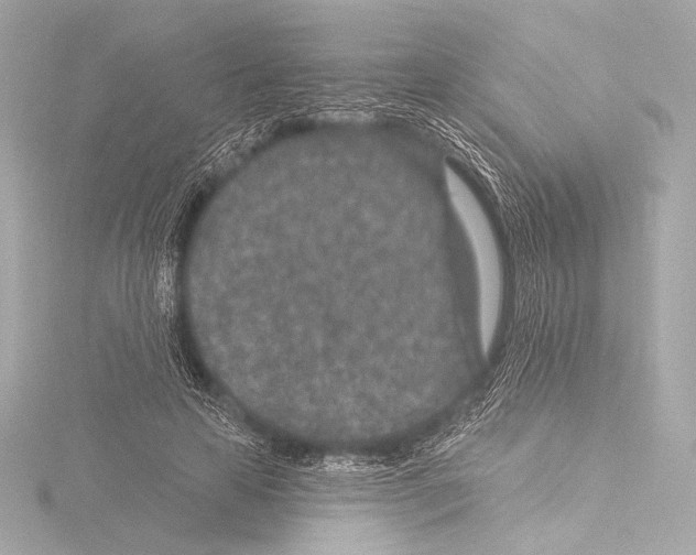 X0000115530641200912181528