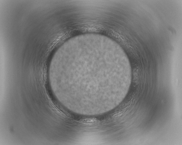 X0000115530642200912181528