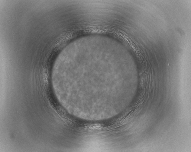 X0000115530643200912181528