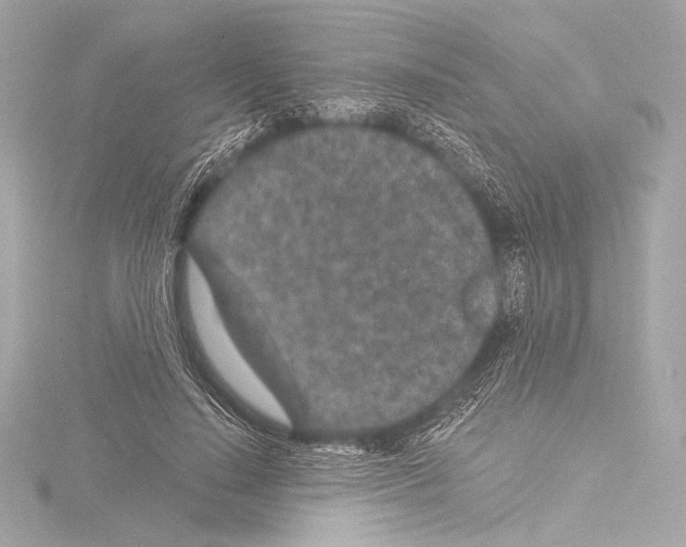 X0000115530644200912181528