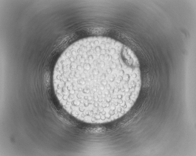 X0000115530646200912181528