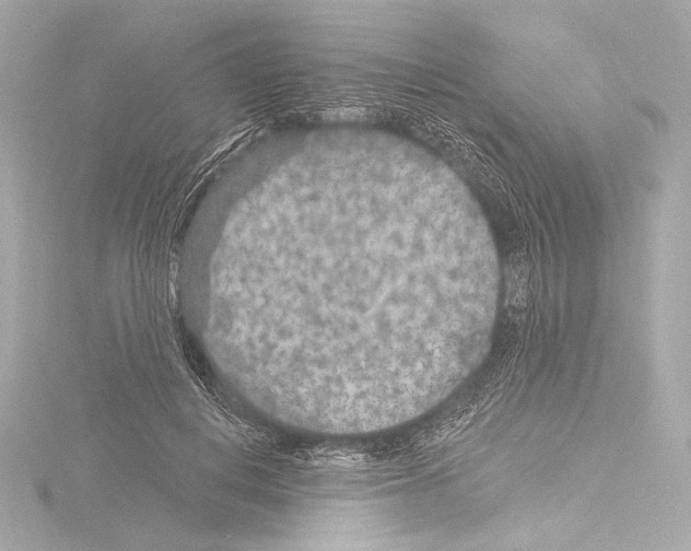 X0000115530648200912181528