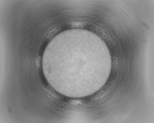 X0000115530649200912181528