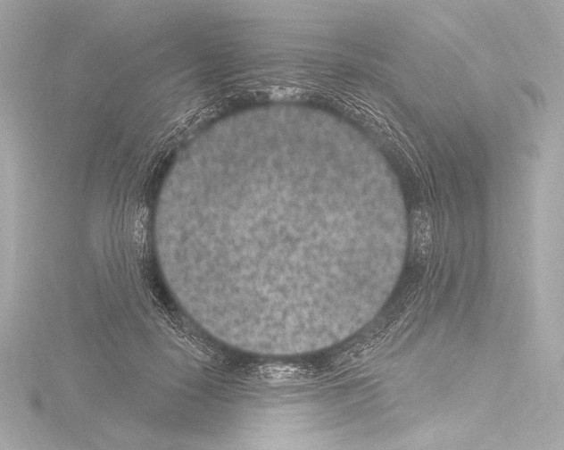 X0000115530650200912181528