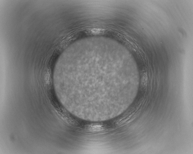 X0000115530651200912181528